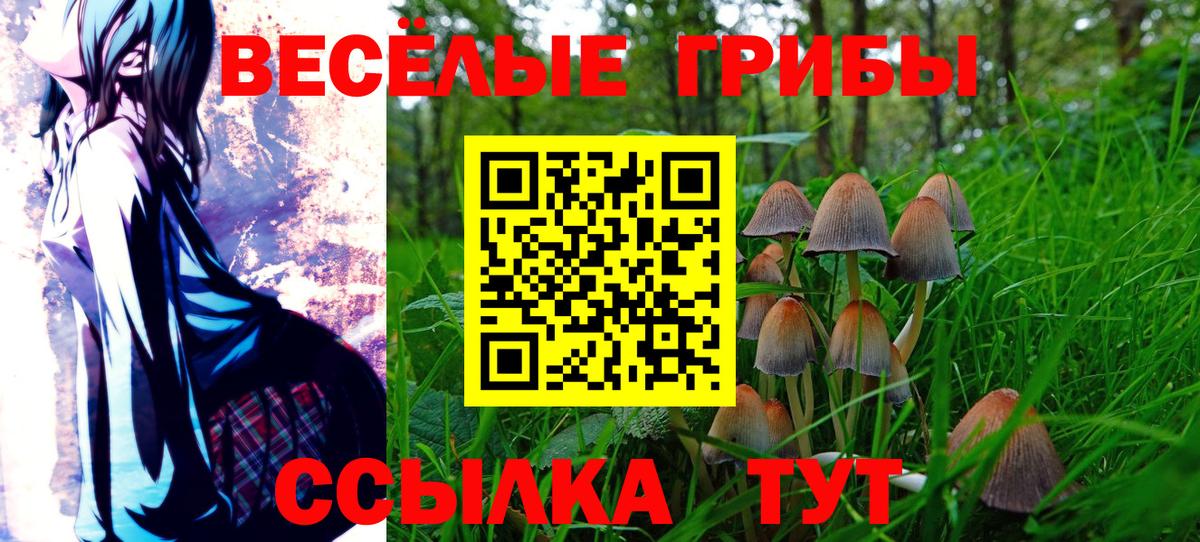 Псилоцибиновые грибы мухоморы Коряжма